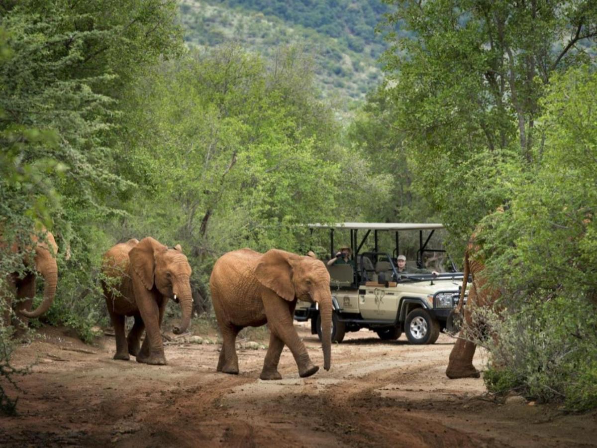Mbazo Safari Collection Βίλα Pilanesberg Εξωτερικό φωτογραφία